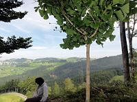  5. September 2010 - heute bin ich mit Ursina von Berneck über den St.Anton auf die Landmark gestiegen. Der Ginkgo geniesst die warmen Herbsttage.